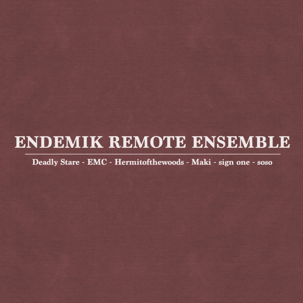 Endemik Remote Ensemble
