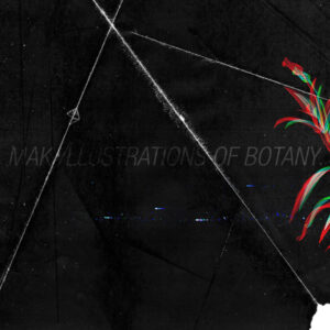 Maki - Illustrations of Botany - Cassette